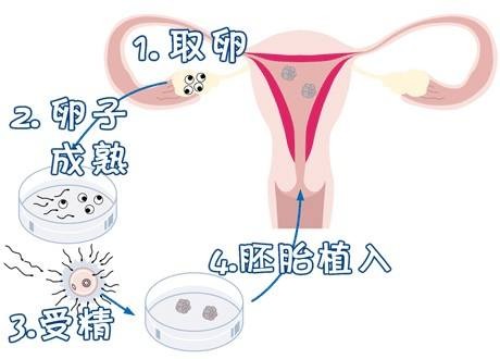 元准生殖医学中心
